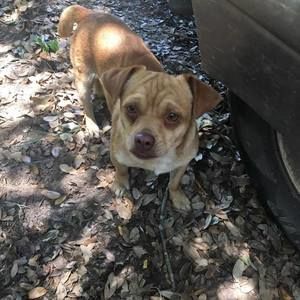 Meet your Posher, Abel